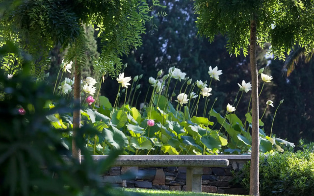Villa della Pergola