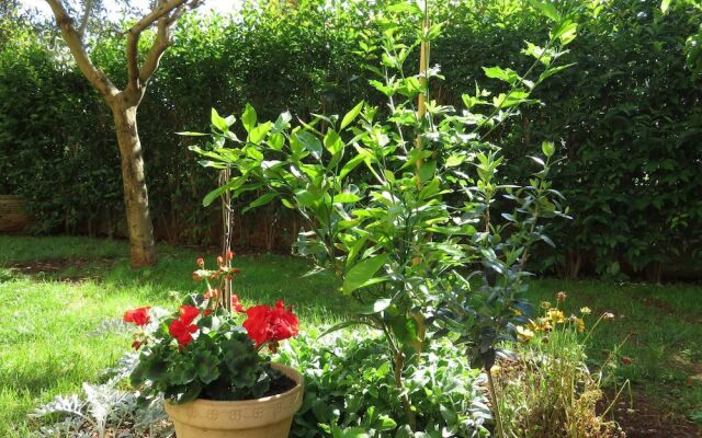 Romantic Oasis modern Apartment