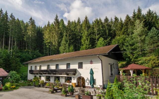 Waldhotel Bad Jungbrunn