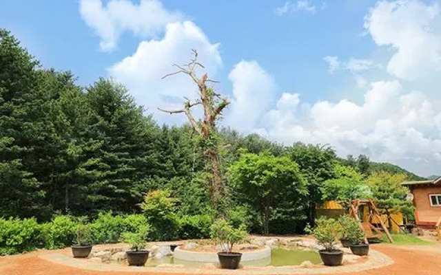 Yangpyeong Cheonnyeoncho Hanok Pension
