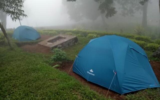 Misty Cardamom Hills Munnar