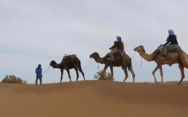 Bivouac Jawhara