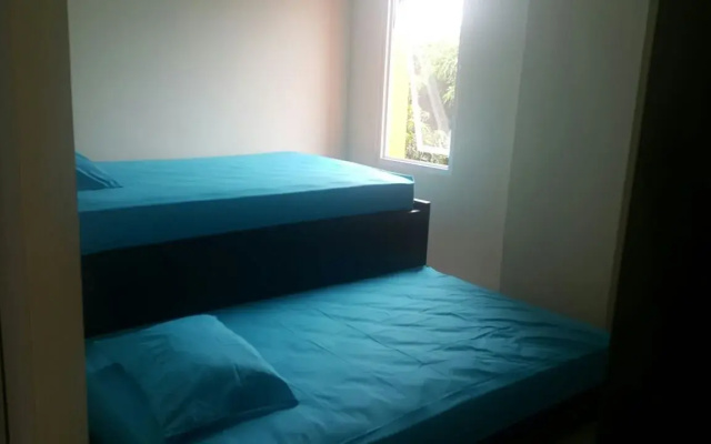 Giant Kost