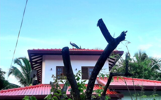 Udara Guest Yala