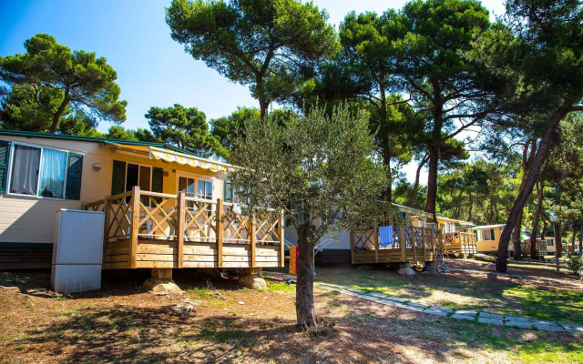 Arena Indije Mobile Homes