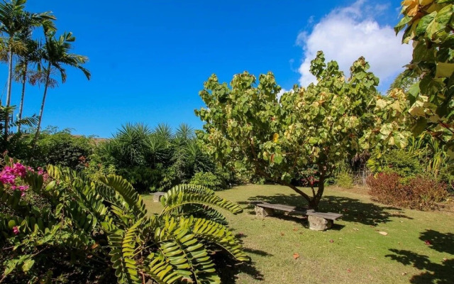 Relax By The Pool, Minutes From The Beach - Toad Hall By Bsl Rentals