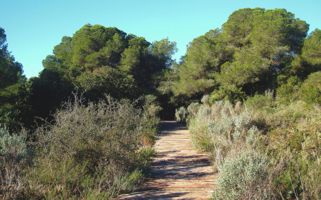 Albufera