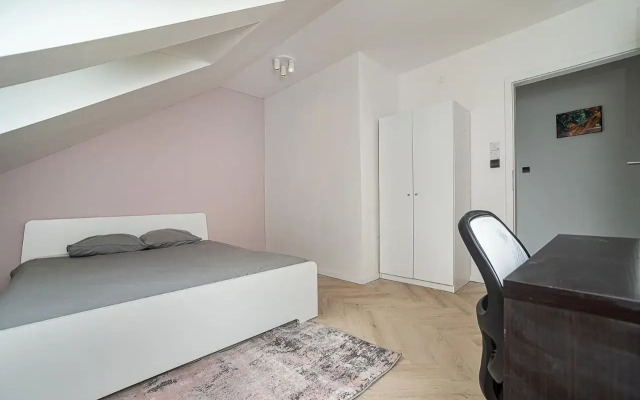 Big 4-bedroom flat, terrace with great Vítkov view