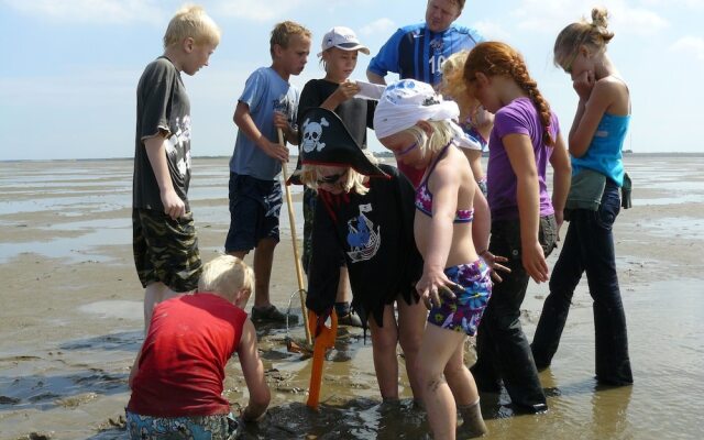Carefully Furnished Chalet With Microwave at the Wadden Sea