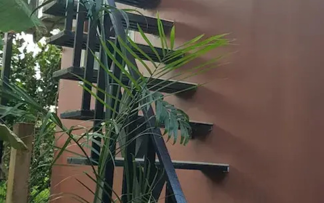 Phuc Sinh Homestay