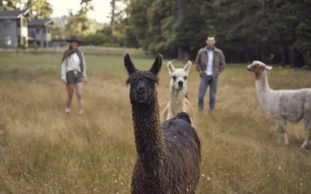 SCP Mendocino Inn and Farm