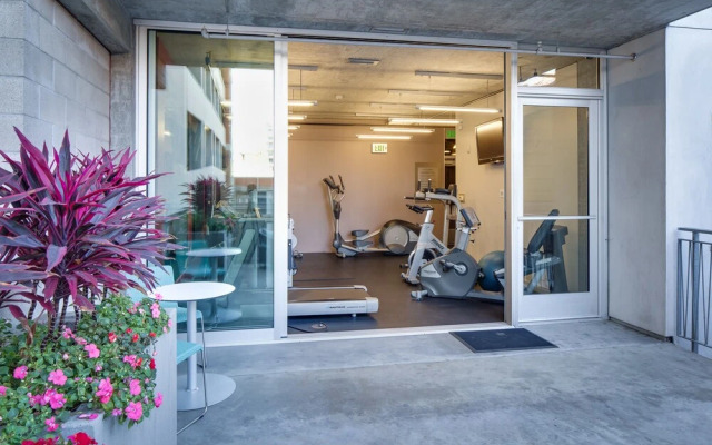 Stay Alfred on 6th Avenue