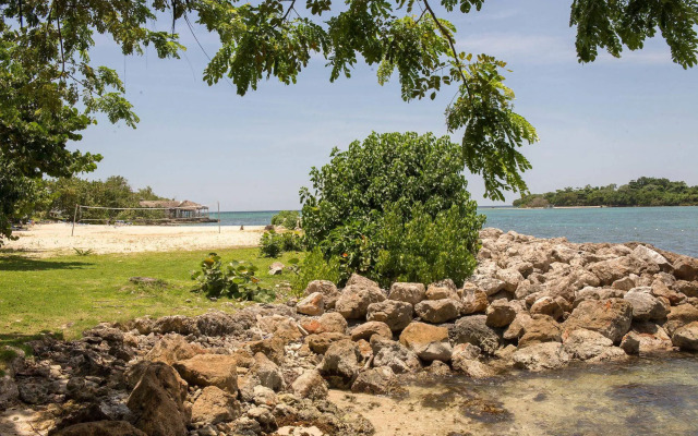 Mango Beach Studio