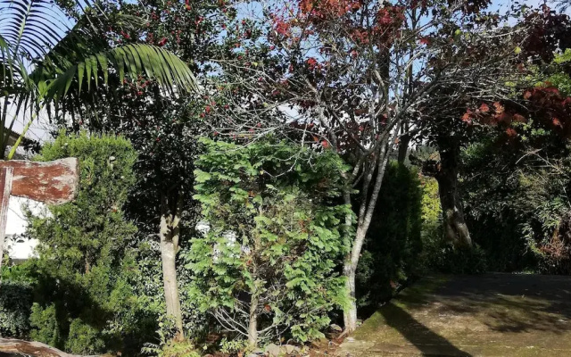 Rural House- Casa Rosa