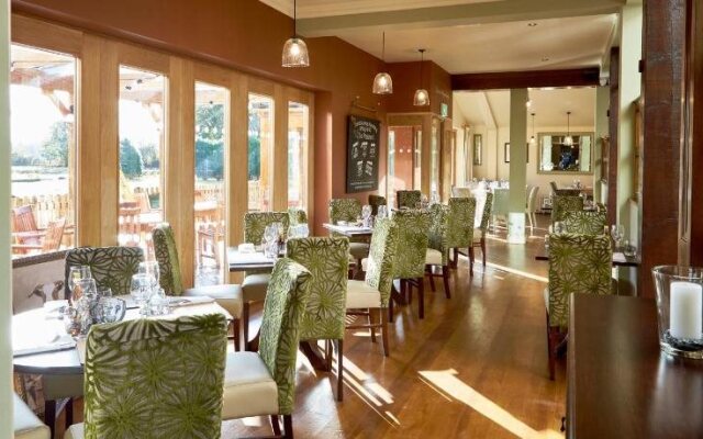 The Golden Pheasant