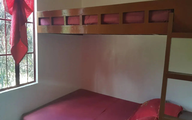 Felina Guest House