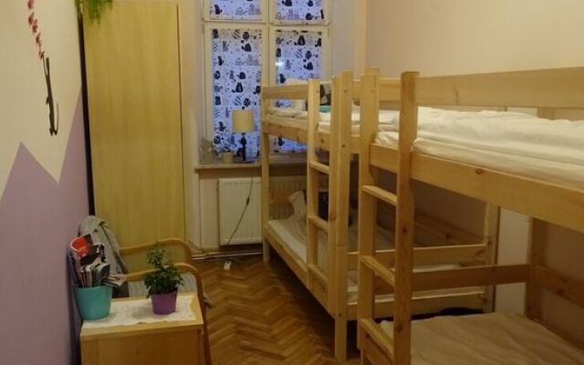 Cat Hostel Krakow