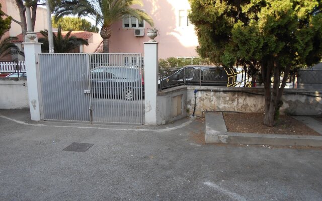 White House - Withe House