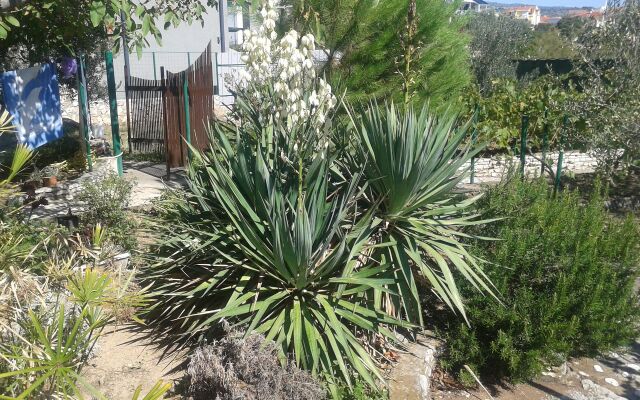 Apartment Ziva - by the beach; A2 Cove Lozica (Rogoznica), Riviera Sibenik