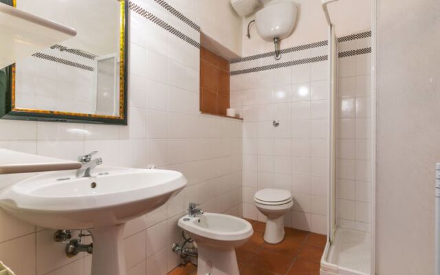 Bardeggiano - Caterina 6 (COL242)