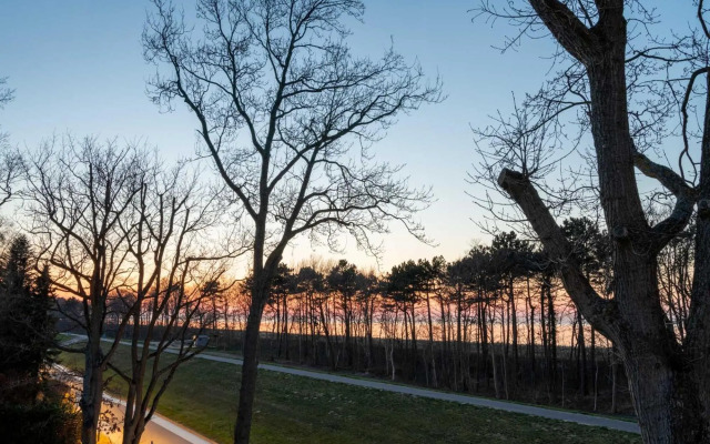 Strandhaus Zingst Apartment 05