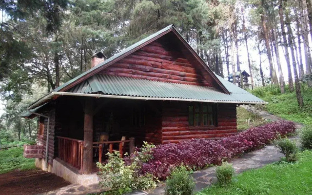 Cabañas El Rincón de Pancho