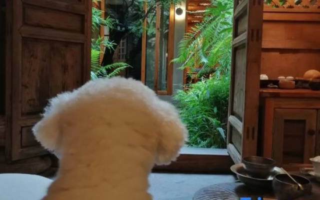Yuxi Qingyun Shangju Homestay (Nie'er Former Residence)