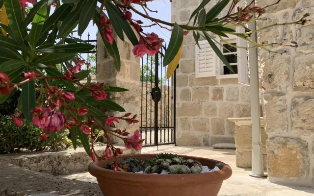 Villa By The Sea Near Dubrovnik