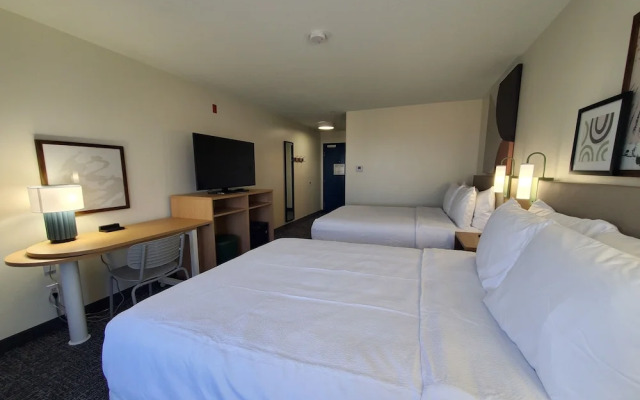 Spark by Hilton Lansing