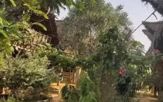 Time Travellers Hostel