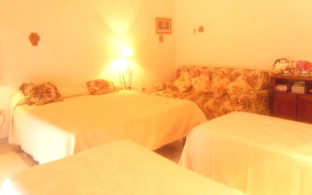 B&B Italia