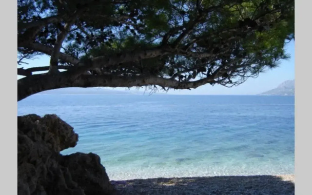 Studio ground floor with terace