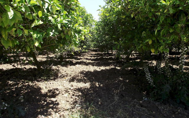 Il Casale Delle Rose