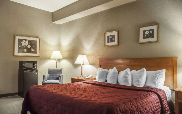 Comfort Inn Lundys Lane