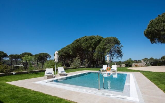 Villa Pine Forest