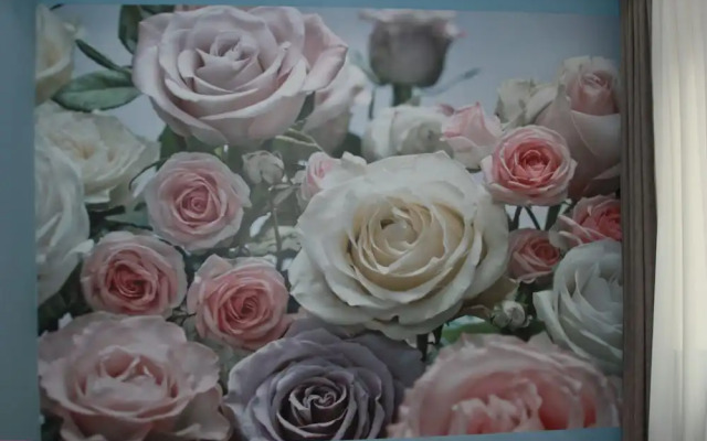 Rose Apartment in Tbilisi