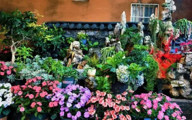 Puzhehei Qingyaxuan Homestay