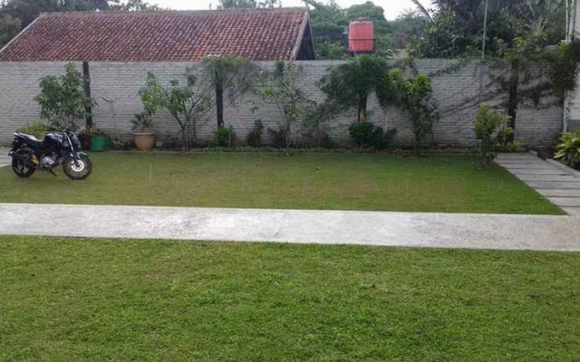 The Cordyline Guesthouse – Outside – Parompong