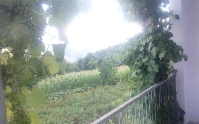 Txilaziri Guest House