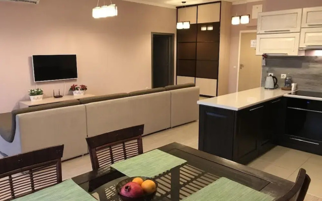 Fenix Deluxe Apartment on Parusnaya 21 - 503