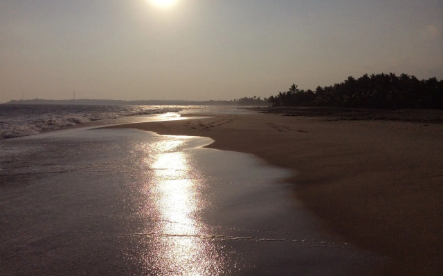 Nest Residence - Hostel