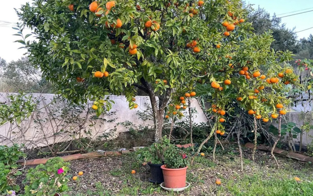 VISITAR BIOUCAS I - Casa Inteira Familiar e Grupo de Amigos