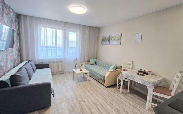 Apartment Fund of Novosibirsk on Pisarev Street