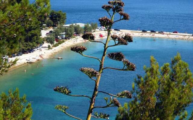 Ana Center Apartment in the Center of Split City