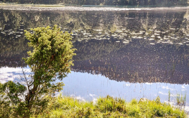 Nice Home in Bjoa With 3 Bedrooms and Wifi