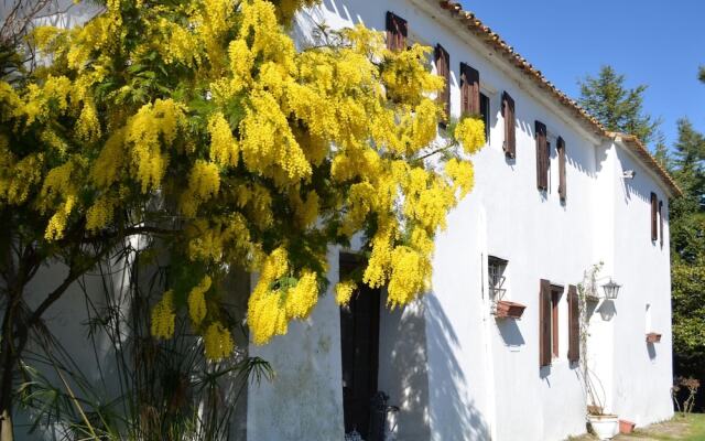 Cottage in Montefiore Near Forest and Beach