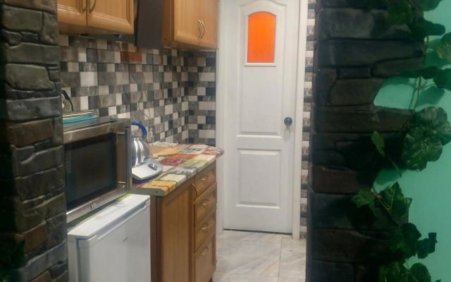 Magnificent apartment in Central Lviv