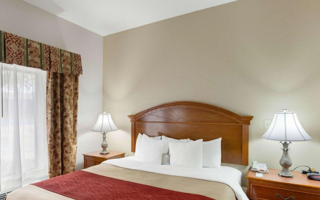Comfort Inn & Suites Near Medical Center