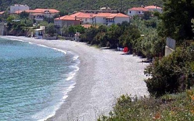 Polichni