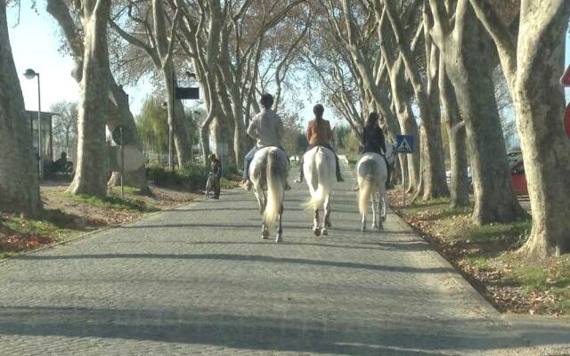 Casa do Largo - Golegã - Turismo de Habitação